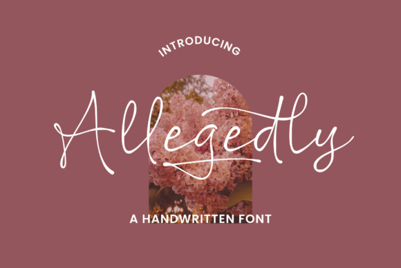 Allegedly: A Classy Handwritten Script for Branding