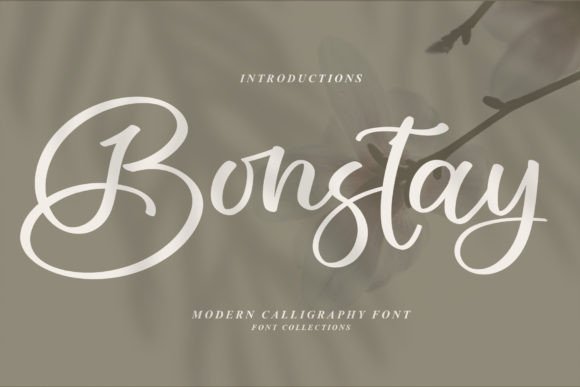 Bonstay: A Stylish Handwritten Font for Modern Web Design