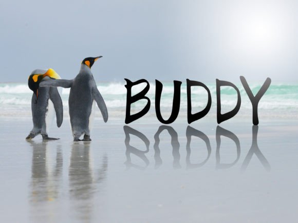 Buddy: A Gentle and Addictive Handwritten Font for Editorial Design