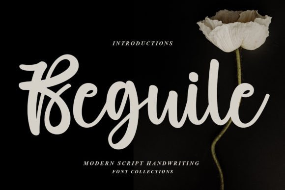 Discover Beguile: A Dainty Script Font for Engaging Campaigns