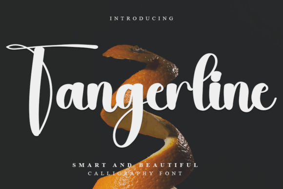 Discover Tangerline: A Refined Handwritten Font for Branding
