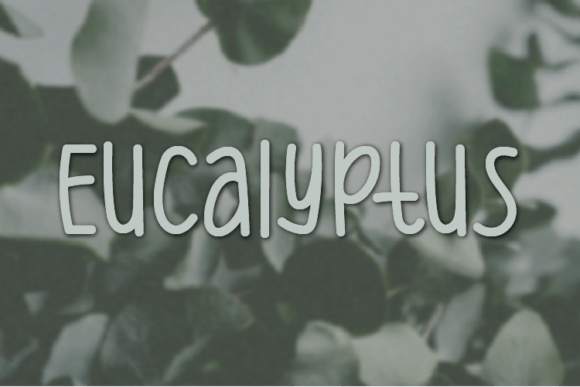 Discover the Versatile Charm of Eucalyptus Font