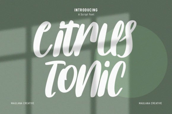 Enhance Your Web Design with Citrus Tonic Font